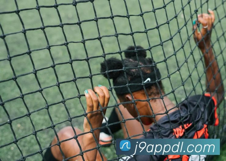 J9九游会发展历程