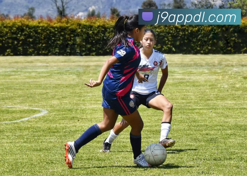 深度解析秦志戬破局三大变革国乒新阵是否蕴含王励勤成功基因